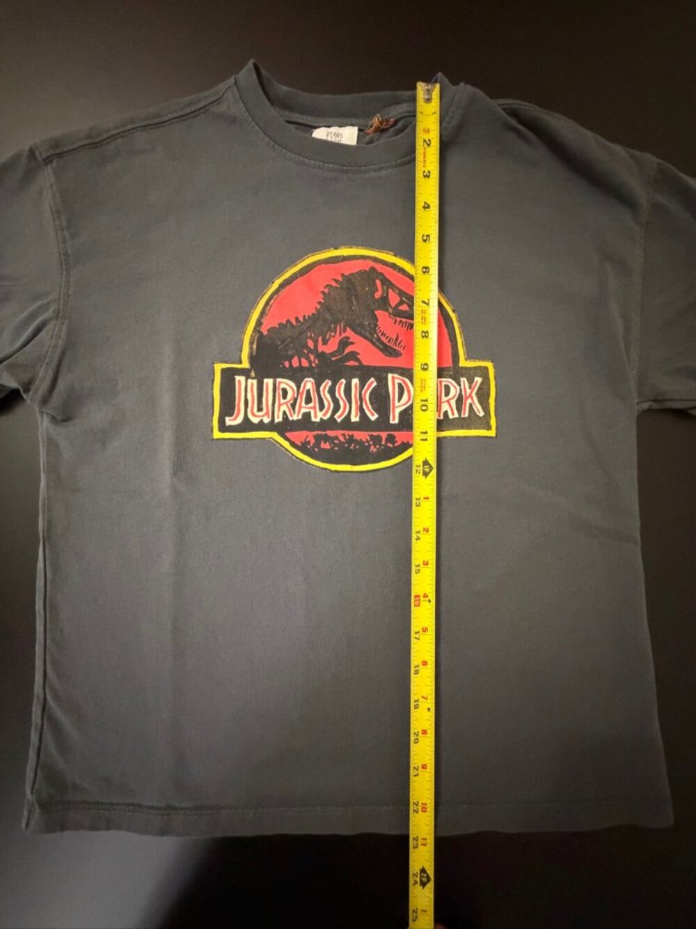 Zara Dylan's T-Shirt Club Jurassic Park Graphic Tee Charcoal